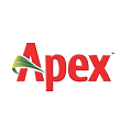 Apex